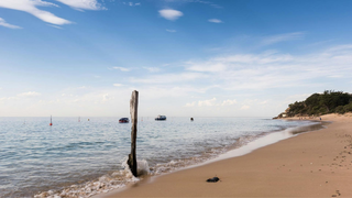 320x180-Portsea-Front-Beach.png