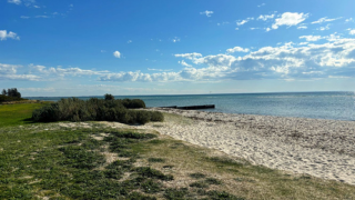 320x180 Rosebud Foreshore