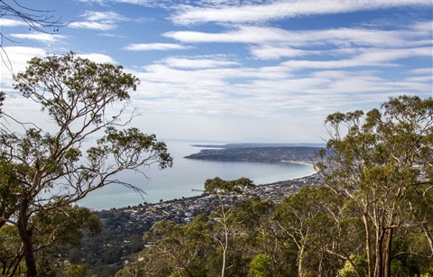 Photo overlooking Dromana town and beach