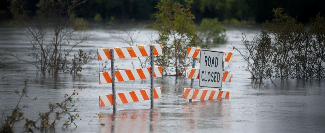 Community Disaster Resilience Plan.jpg