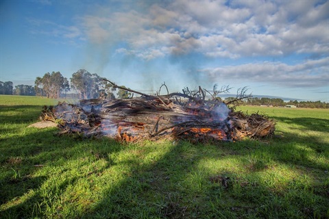 Open Air Burning - burn off on private land.jpg