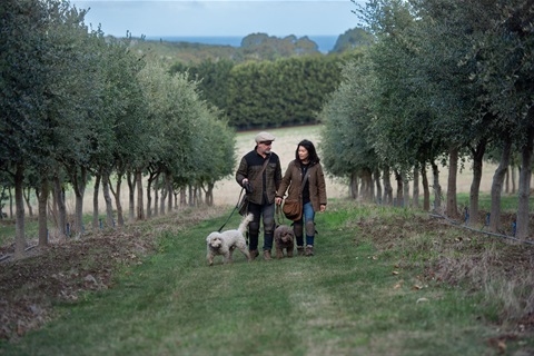 Tony and Jane Groves, Flinder Truffles. Copyright Richard COrnish 2025.jpg