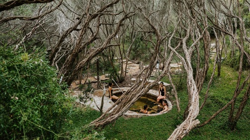 Hot Springs bath among the trees