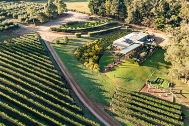 Green Olive at Red Hill