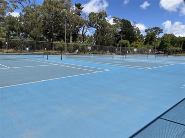 Club Tennis Courts