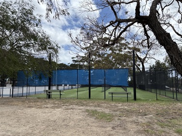 Somerville Cricket Nets
