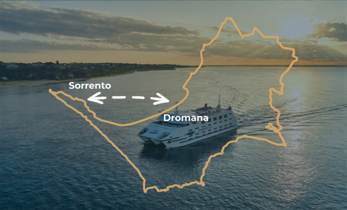 Mayday Cruise