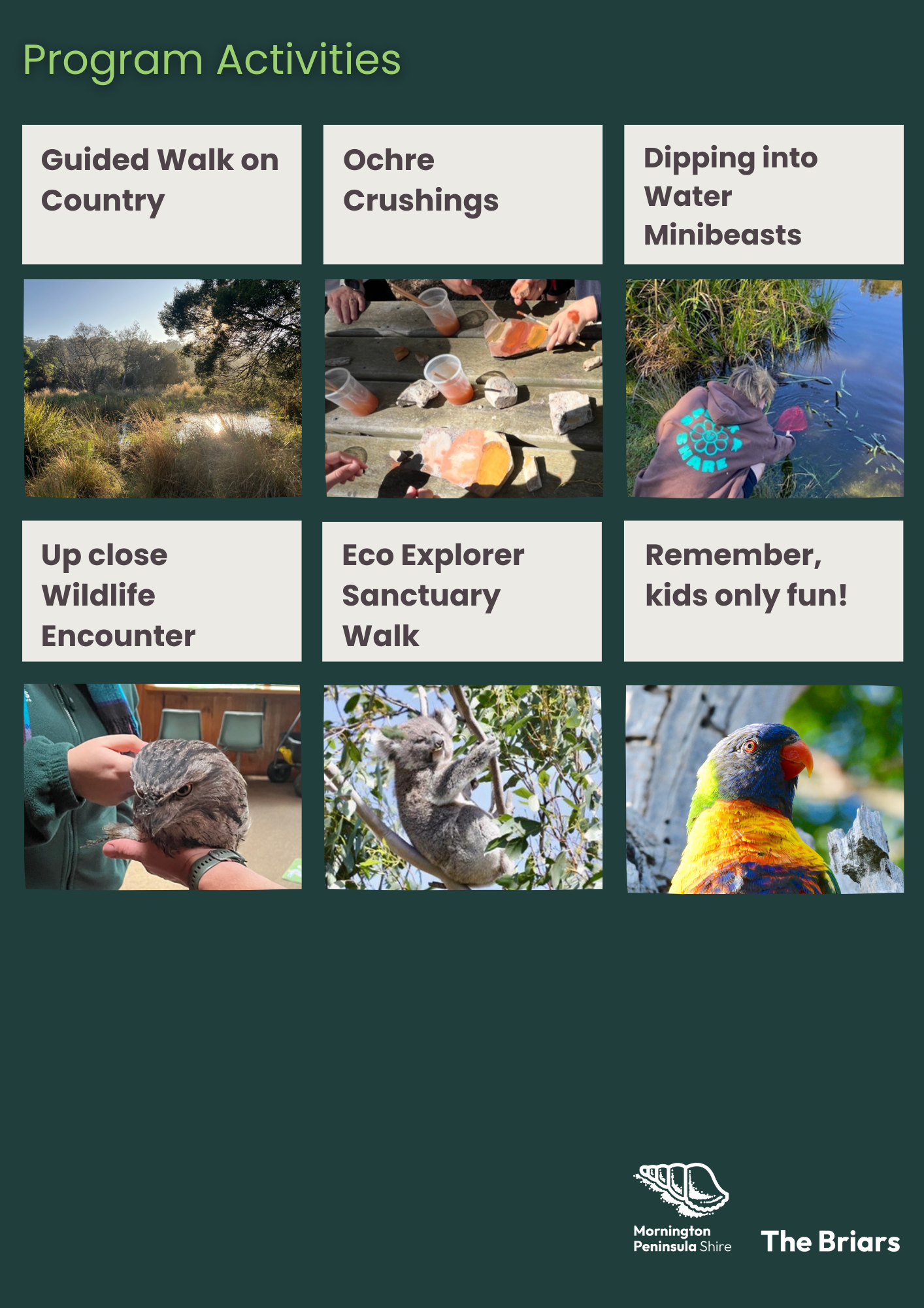 Eco Explorer activities 2.png