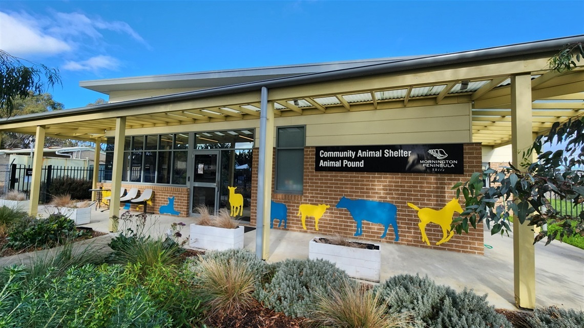 animal-shelter-buidling.jpg