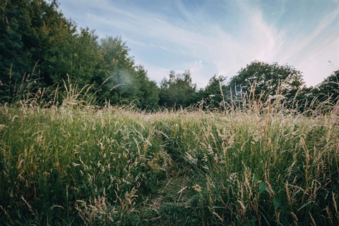 amy-burgess-YVEbeCwT-jw-unsplash.jpg
