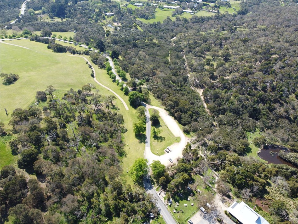 Balcombe Creek Boardwalk Briars.jpg