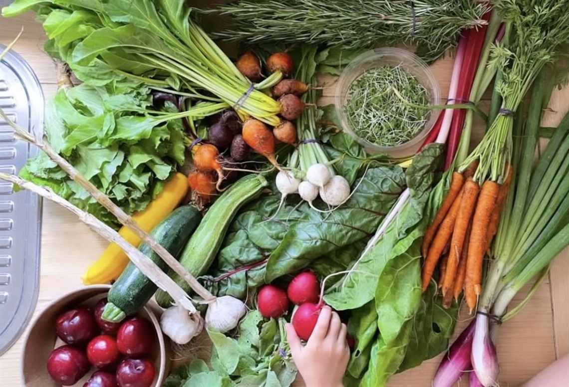 Fresh produce laid out on bench.jpg