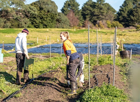 Man and woman working outside in agriculture.jpg
