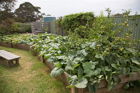 Community Gardens
