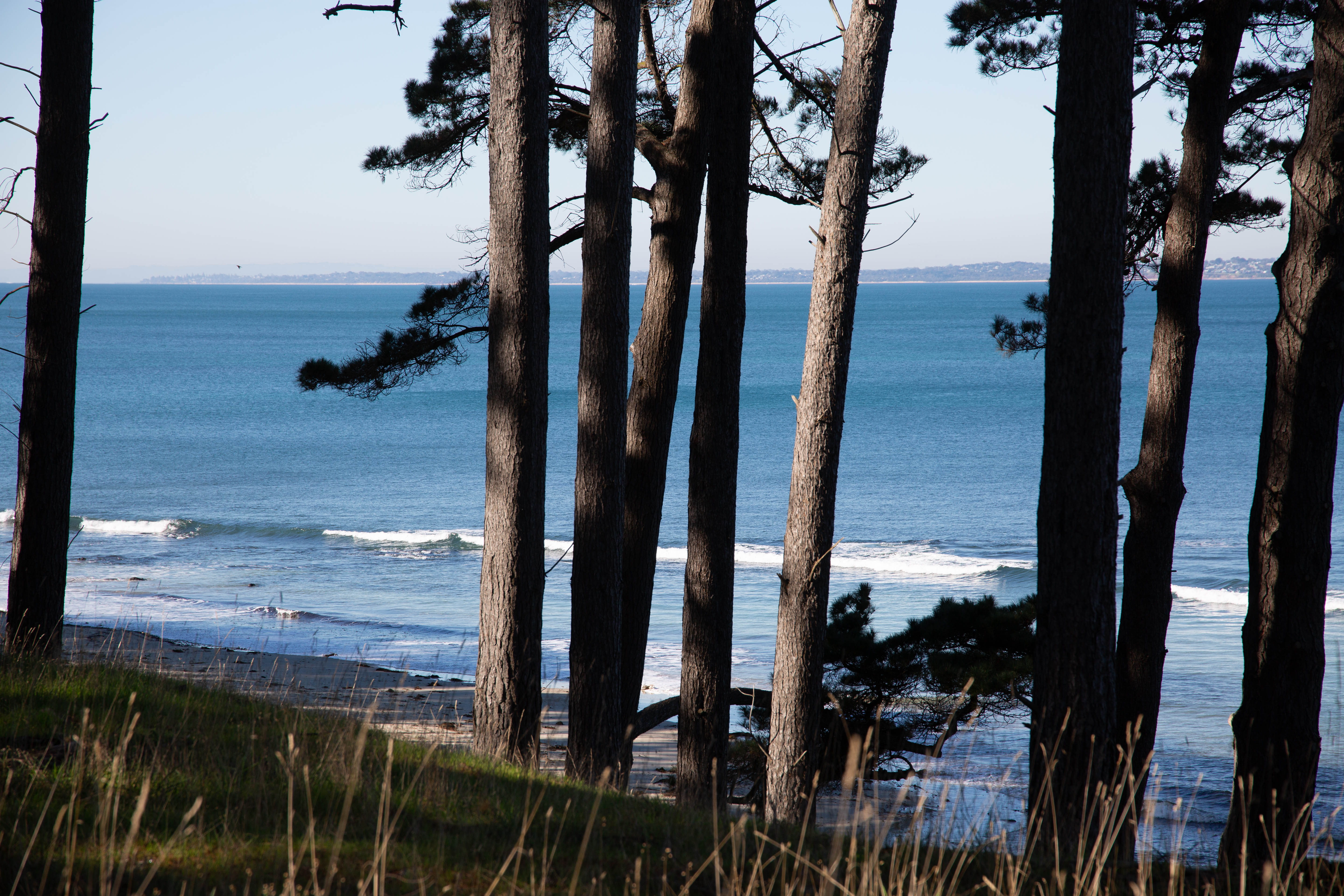 The Pines, Shoreham