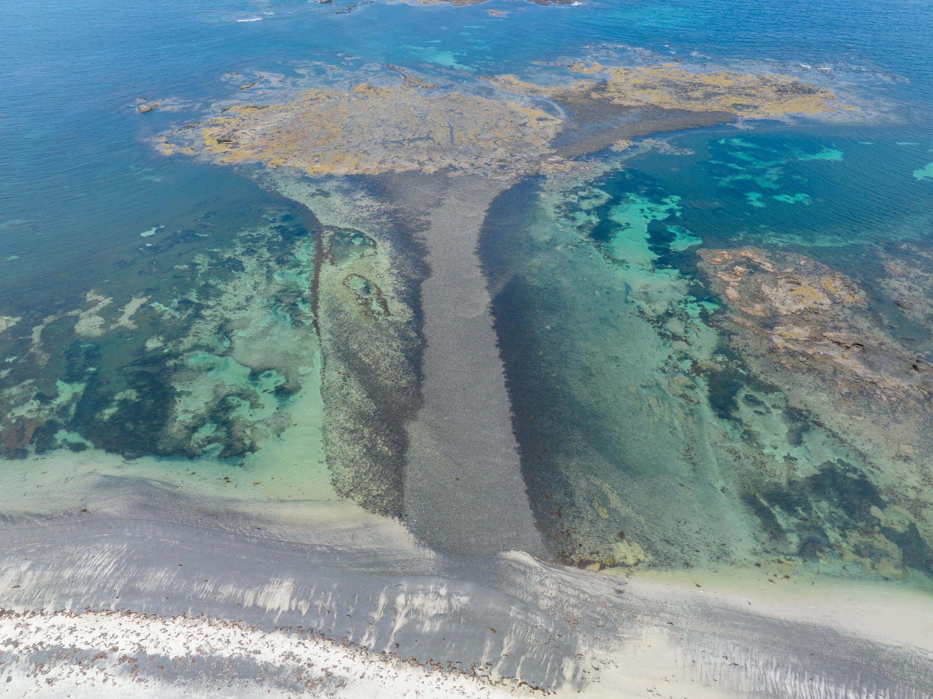 Mushroom Reef view Feb 24.jpg