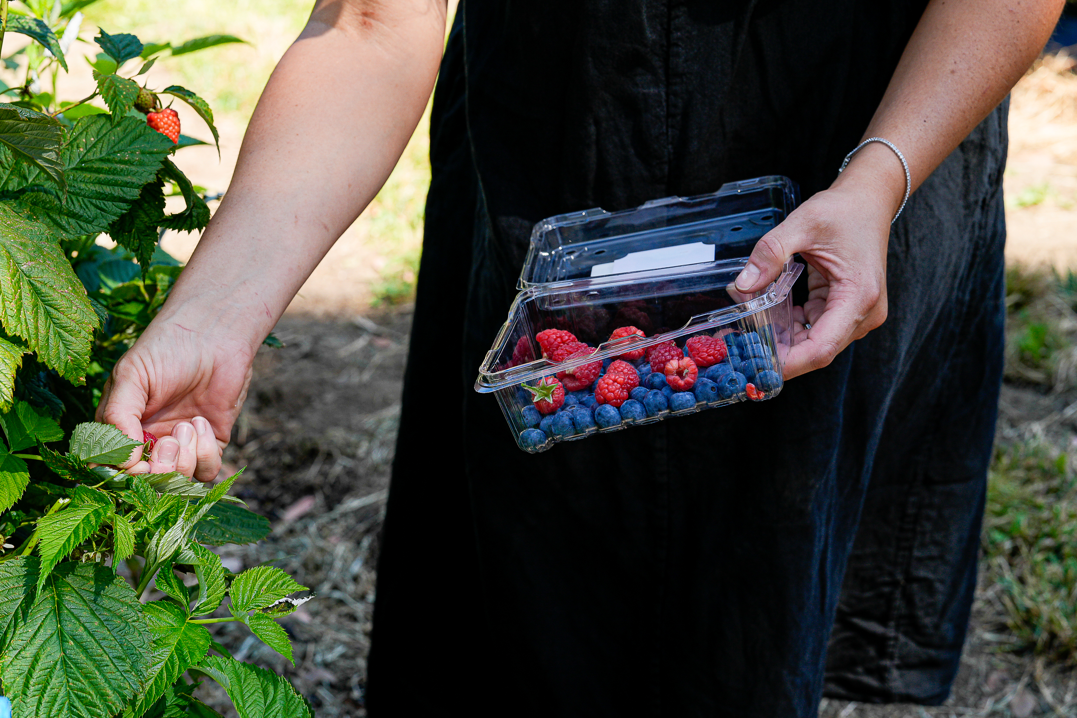 RockyCreek_AmberGardener-4.jpg