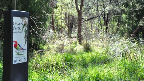 Audio-trail.jpg
