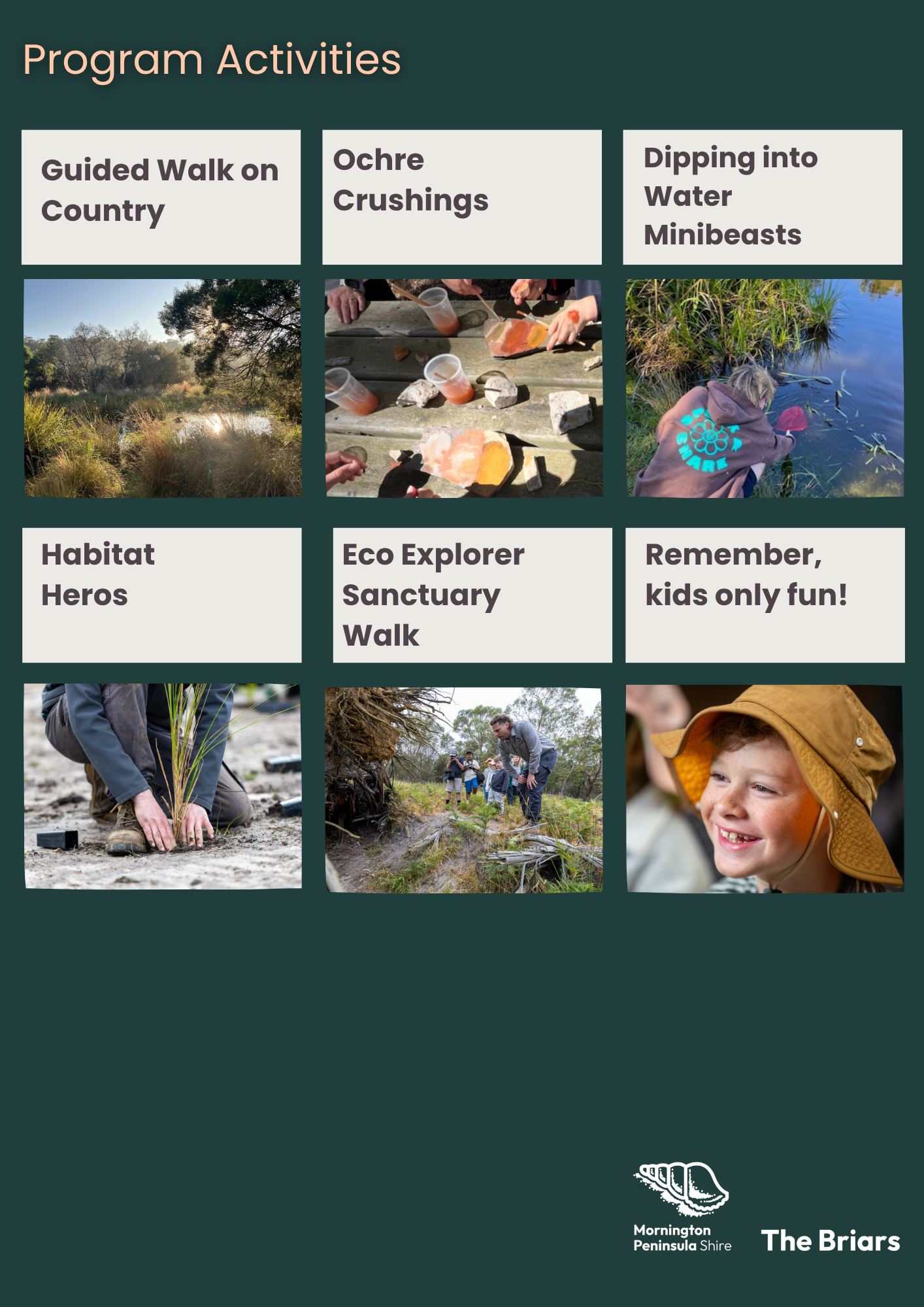 Program Activities 2.png
