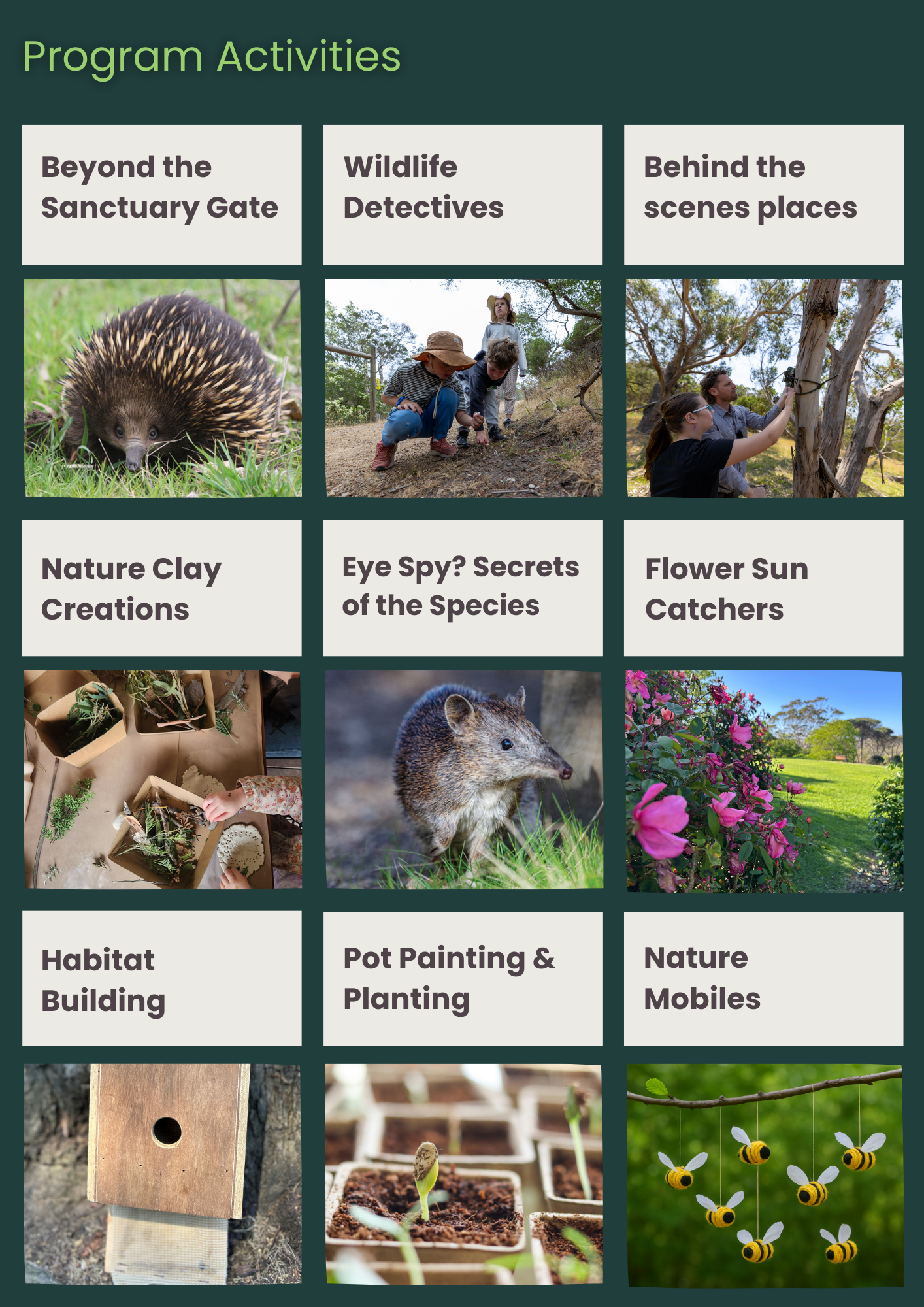 Program-Activities-April-1.png