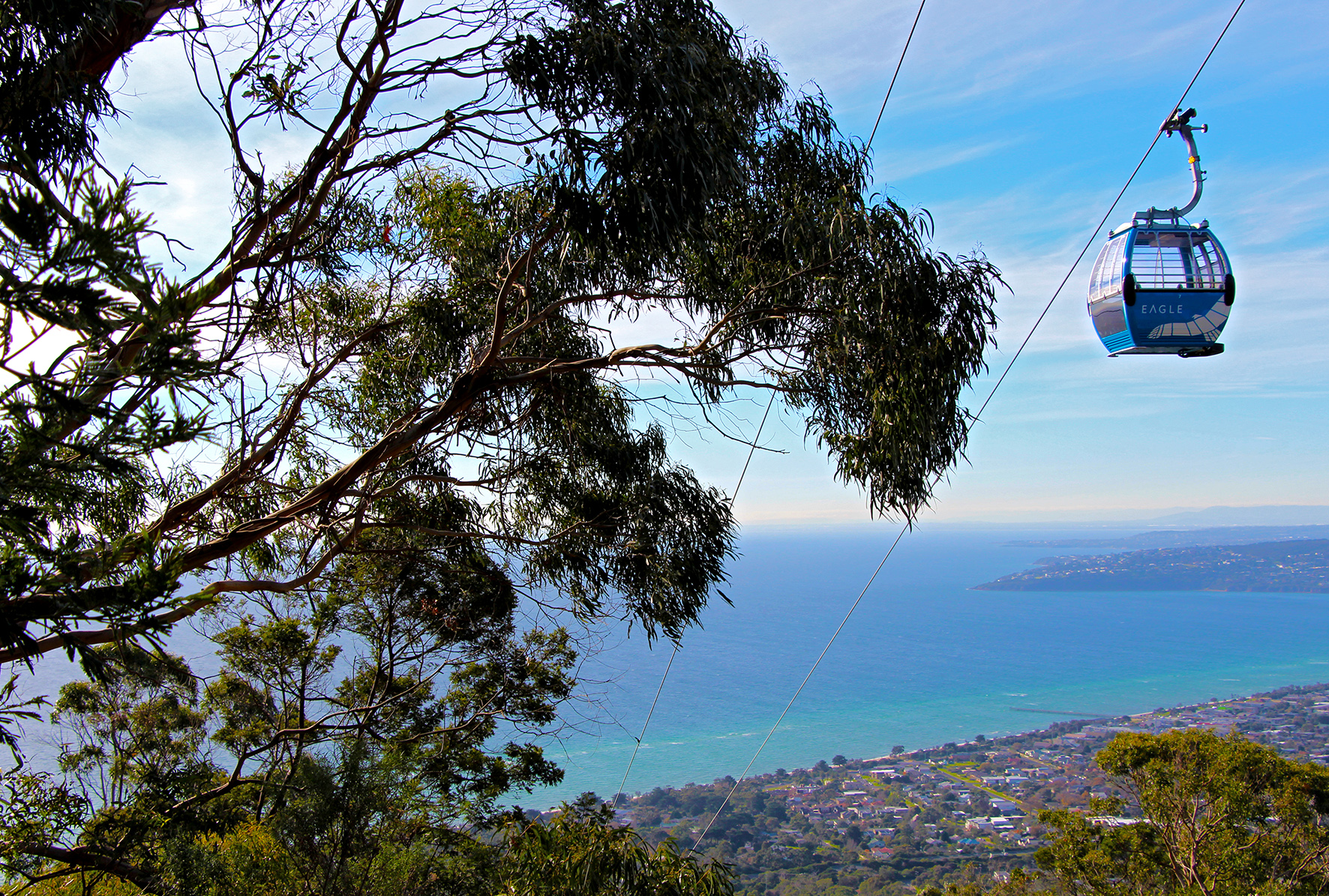 Arthurs Seat Eagle 2.jpg