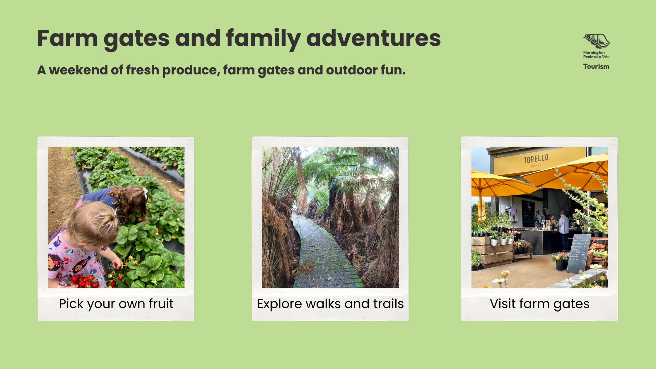 Farm-gates-and-family-adventures.png