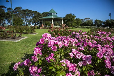 Mornington Botanical Rose Garden