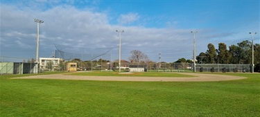 CB Wilson Diamond 1