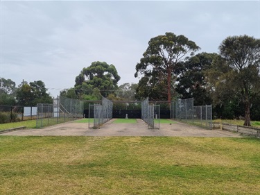 Cricket Nets