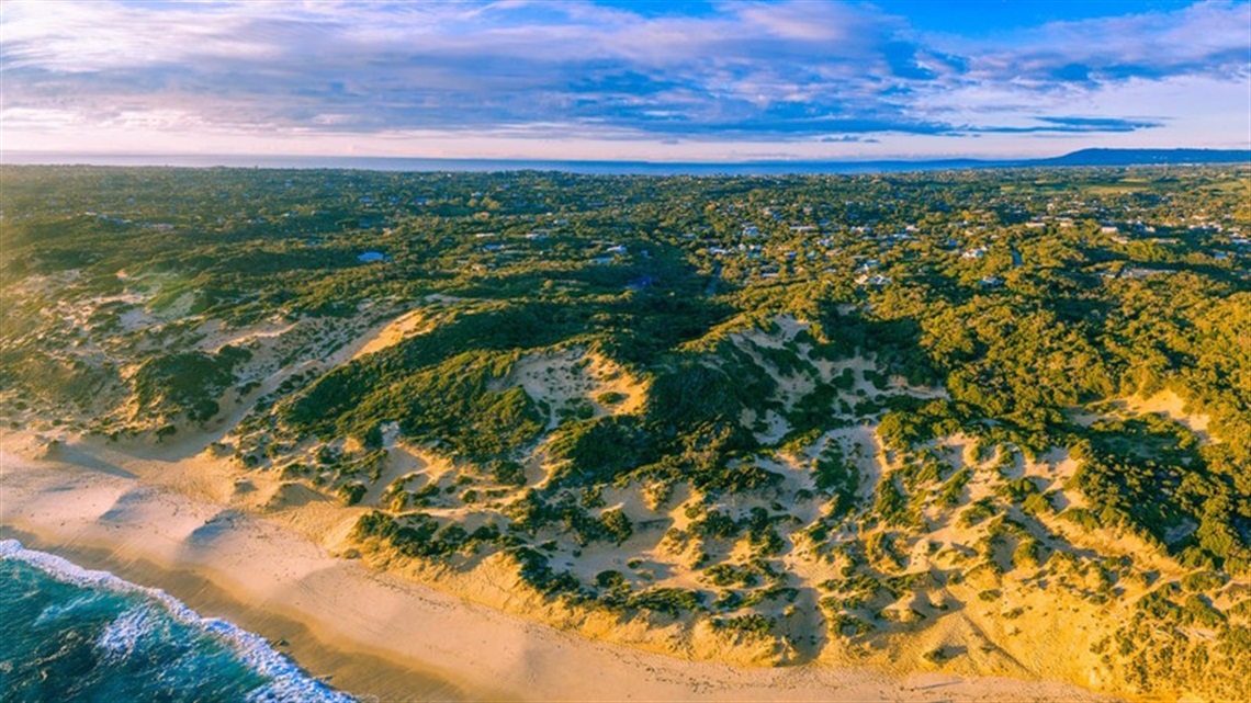 Drone-image.jpg