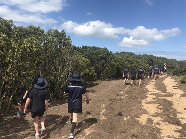 Mangroves with students from St Joseph’s Crib Point, taken on Wooleys Beach, Crib Point