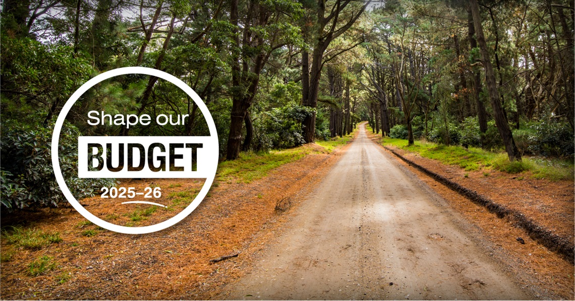 Shape our Budget 2025-26 with image of a road.jpg