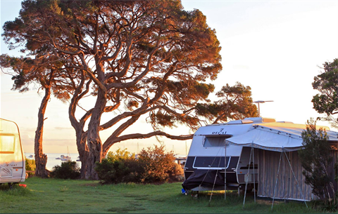 Camerons Bight campground during camping season.png