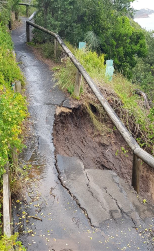 Beleura-Cliff-path.png