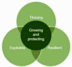 Urban.forest.strategy.diagram.jpg