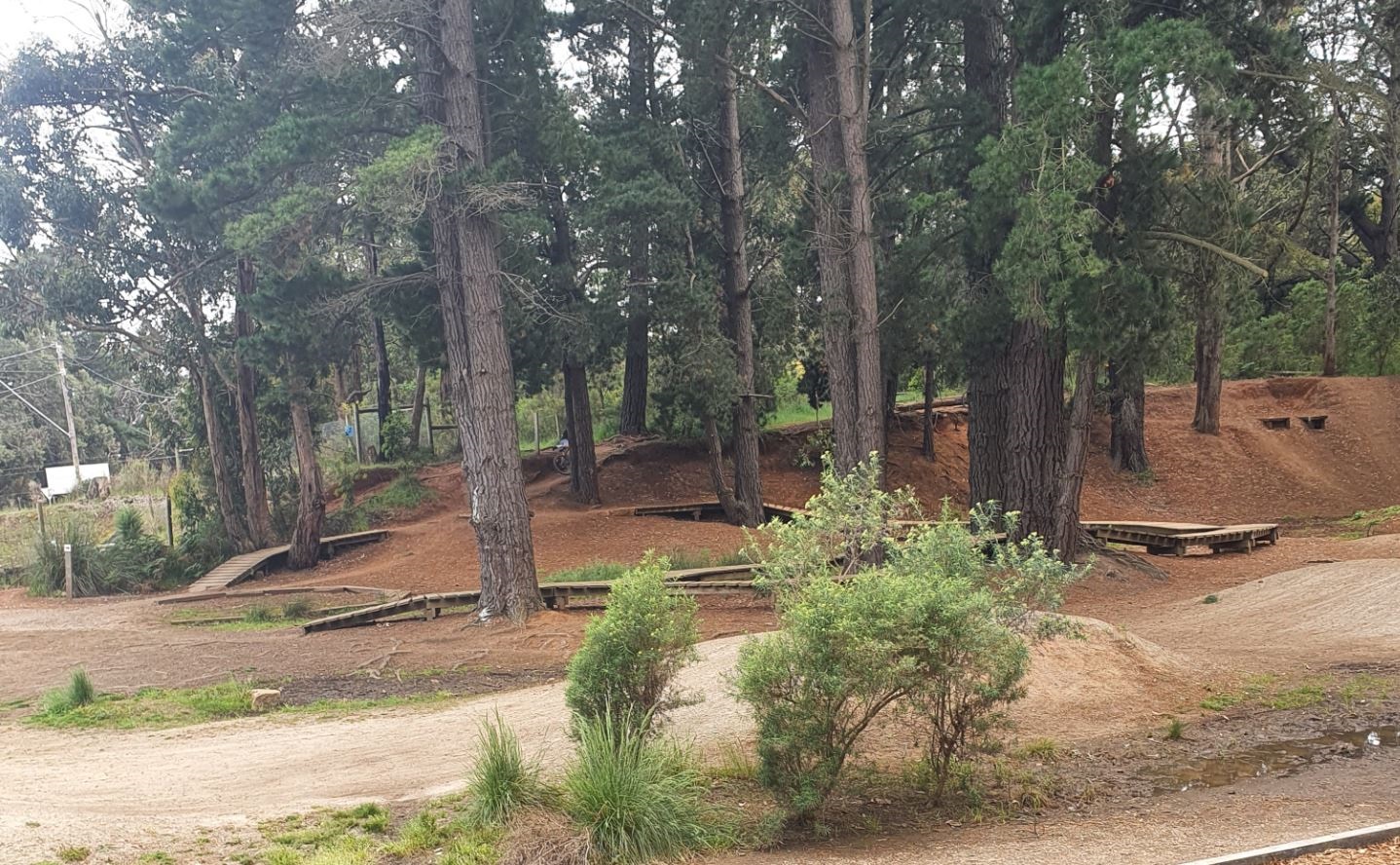Red Hill Mountain Bike Skills Park.JPG