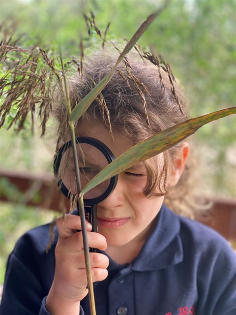 plant power edu.jpg