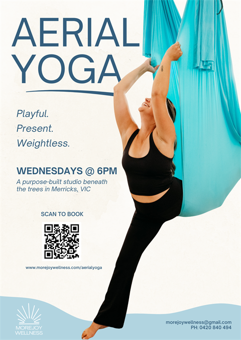 Beginner Friendly Aerial Yoga Class