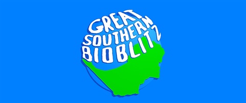 Great Southern Bioblitz banner for the Mornington Peninsula Shire