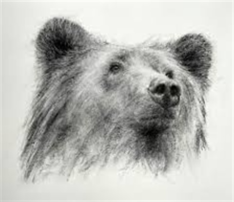 Charcoal Drawing