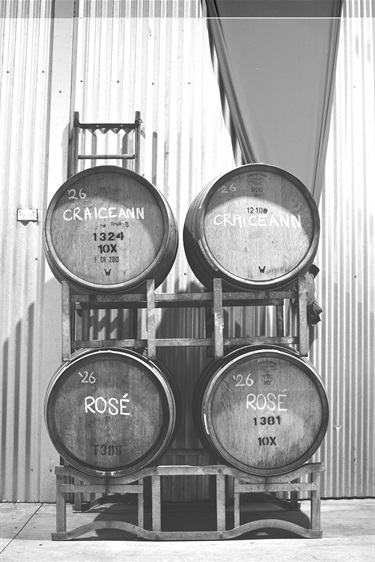 Barrels in winery photo by noons_by_the_ninch
