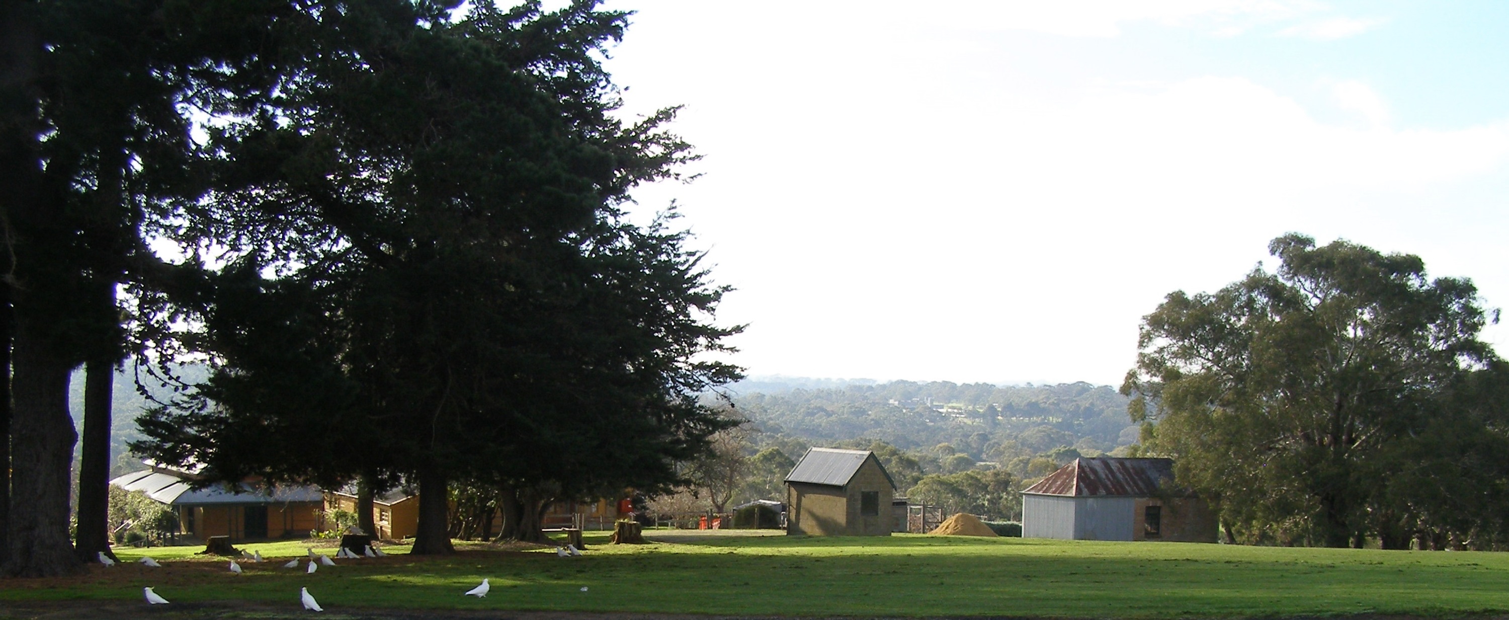 view to homestead 3.jpg