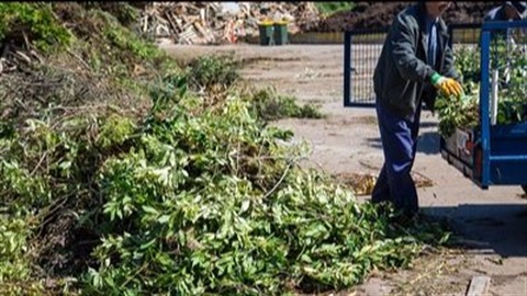 freegreenwaste.jpg