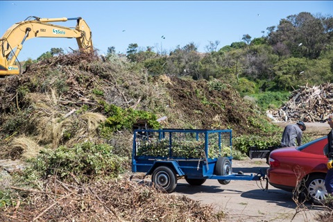 green waste mr.jpg