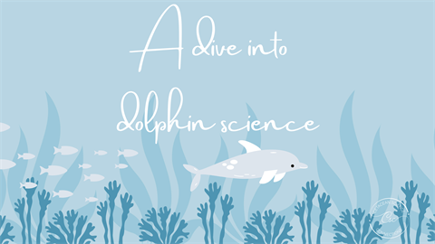 A-dive-into-dolphin-science