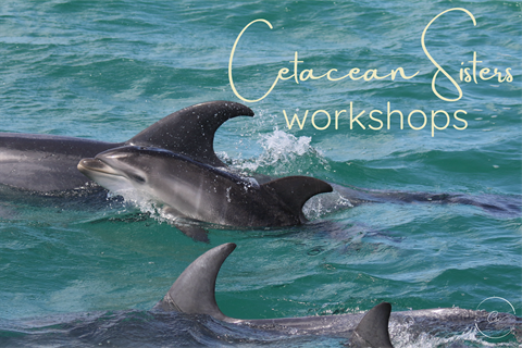 2026-Cetacean-Sisters-workshop