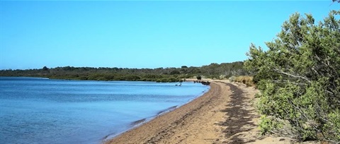 Crib-Point-Woolleys-Beach-photo-CPSPFCoM