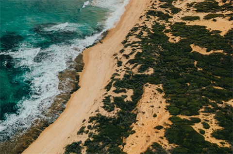 Portsea beach from above.png