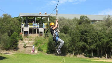 Flying fox