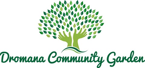 Dromana Community Garden.jpg